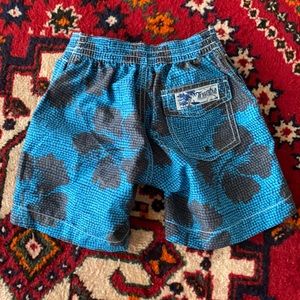 Trunks Brand Toddler Swim Shorts Size 3 EUC